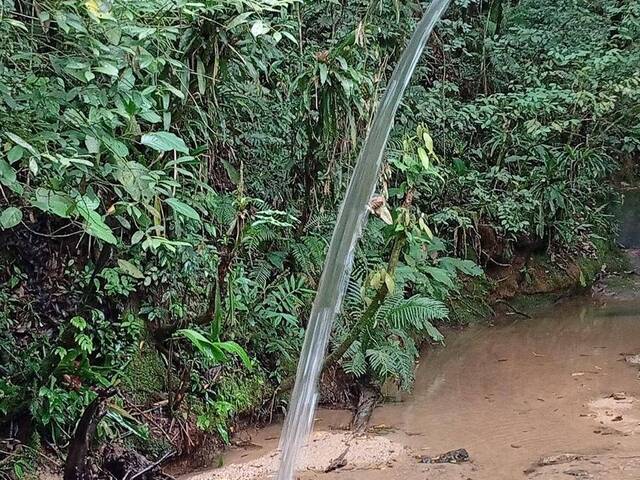 #43 - Chácara para Venda em São João Batista - SC - 1